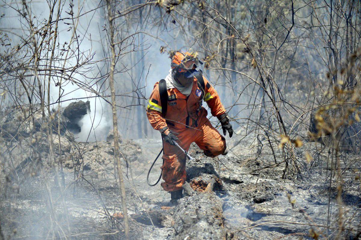 685 incendios han dañado 34,000 hectáreas en lo que va de 2024 en Honduras