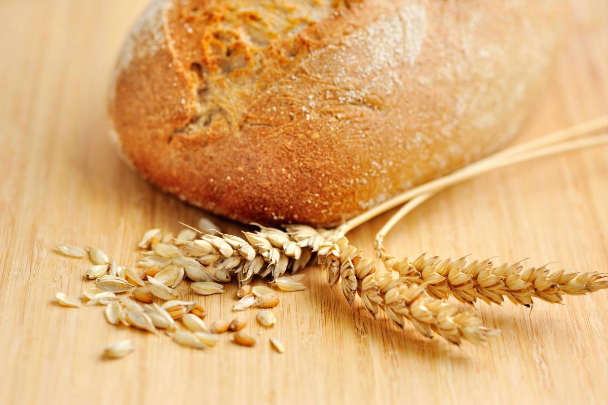 La cebada proliferó desde Oriente Medio al resto del mundo.