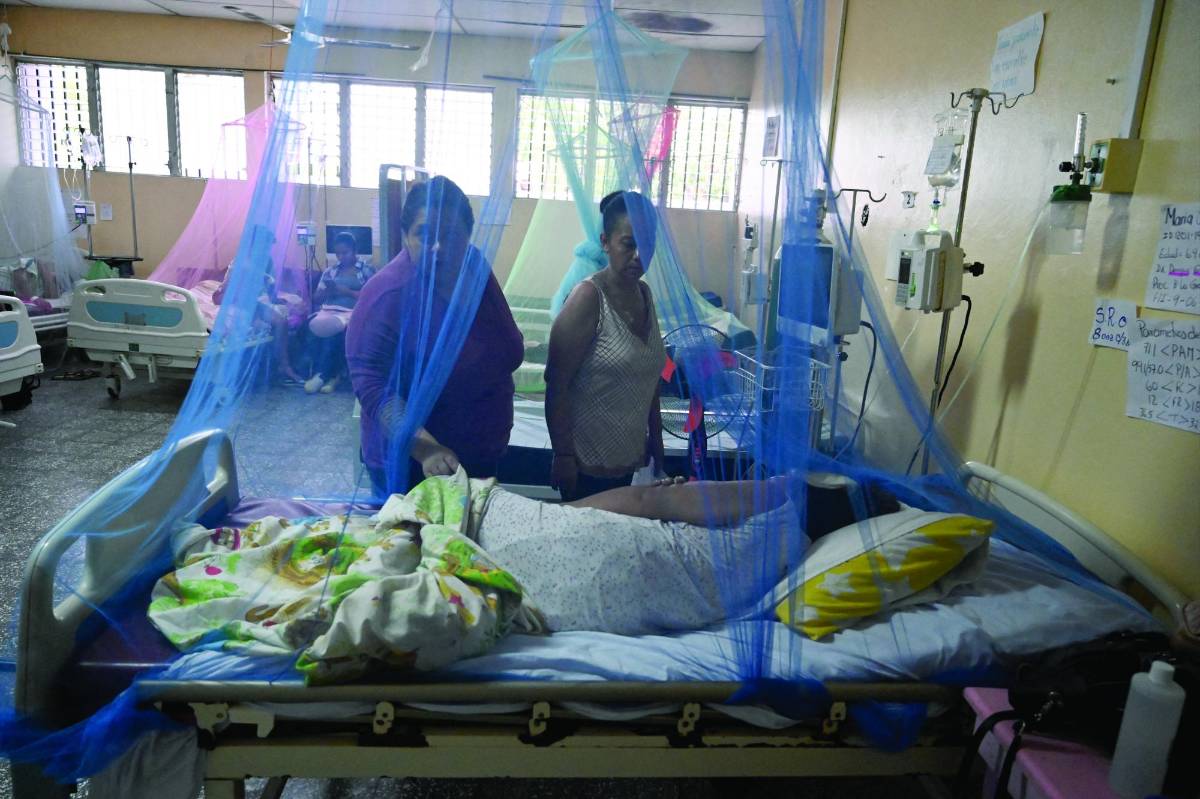 Honduras: 50 muertos por dengue, el peor registro de Centroamérica