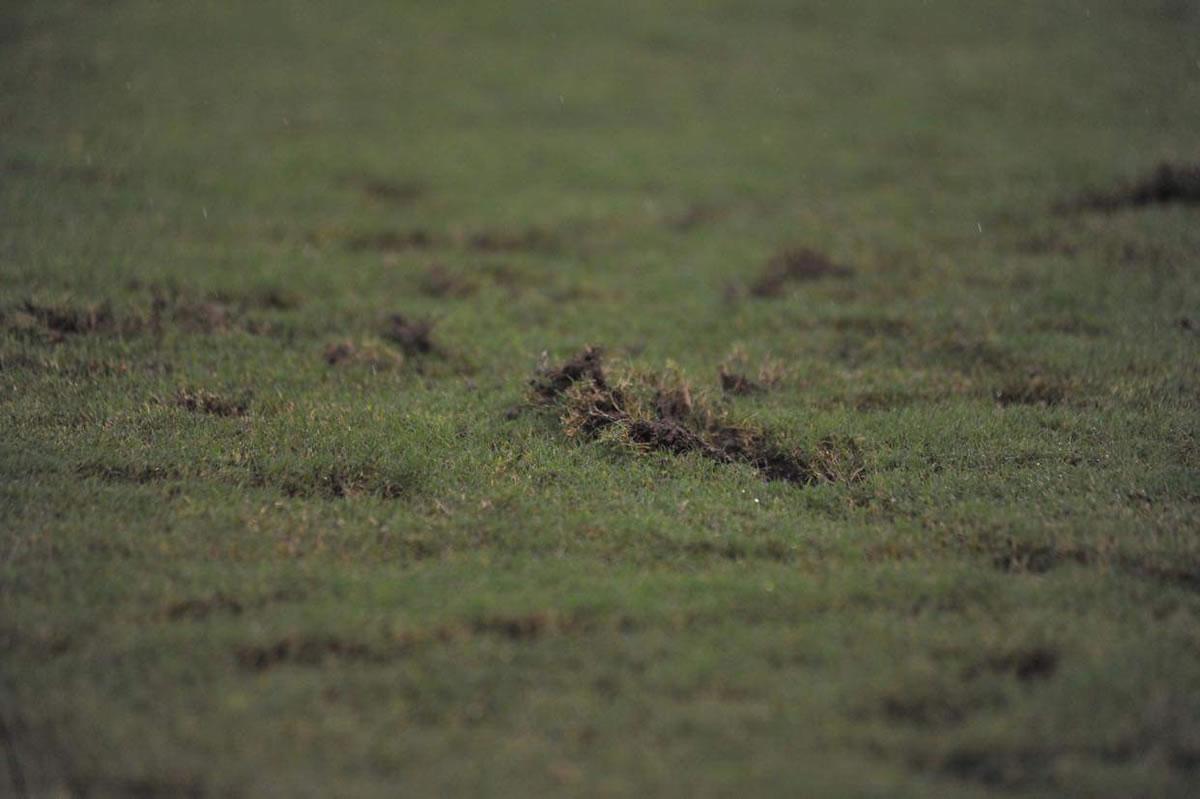 Así vivimos el triunfo del Génesis sobre Real España en Comayagua