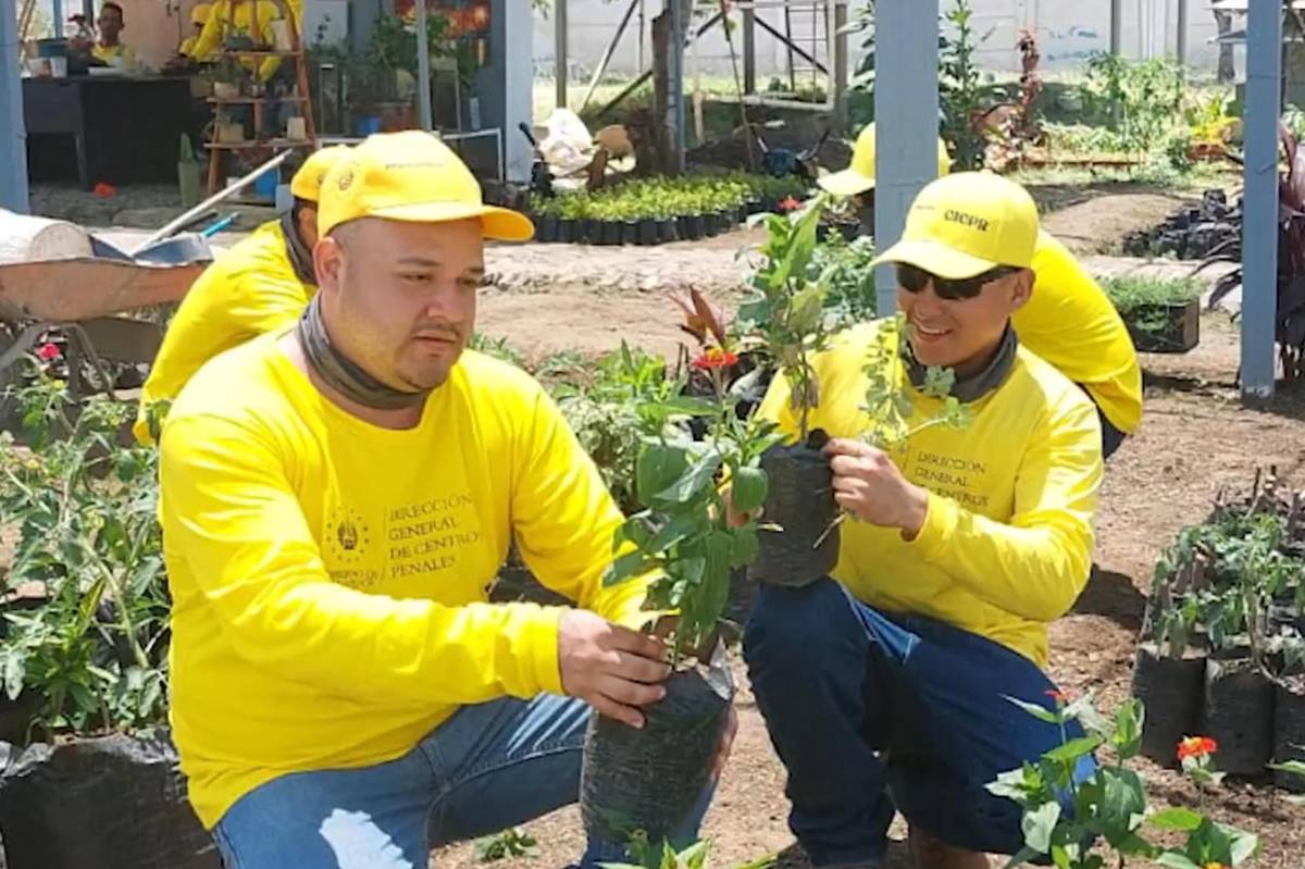 Bukele desmiente torturas a Ábrego García y divulga imágenes de su reclusión