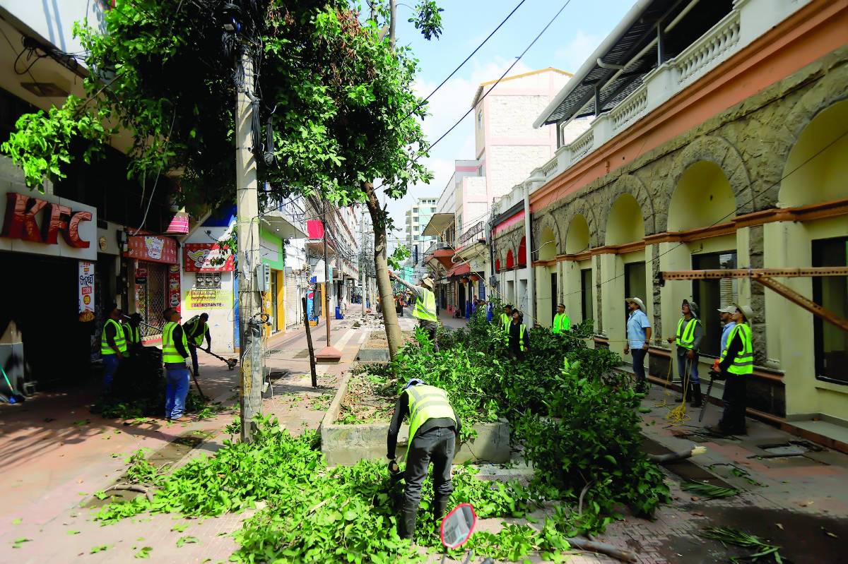 El alcalde Roberto Contreras supervisó los primeros avances y aseguró que se apoyará en orden.
