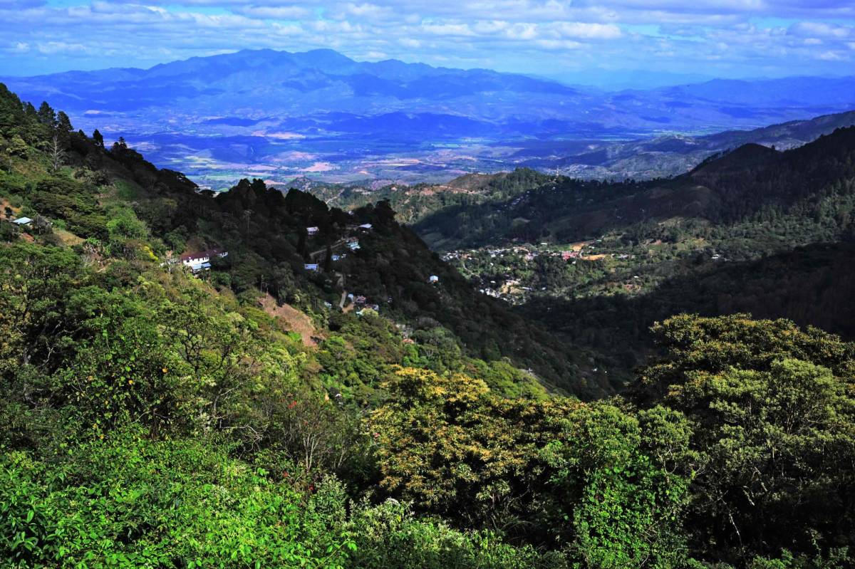 Guatemala y Honduras lanzan corredor de conservación biológico