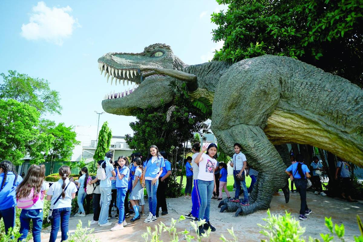 Aventura y aprendizaje para todos en el Museo El Pequeño Sula