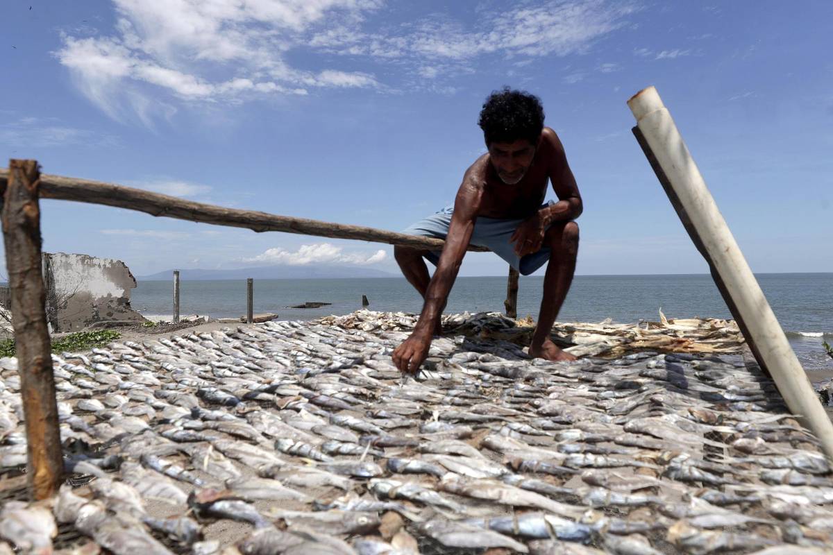 Imágenes: Cedeño se resiste a desaparecer pese a que el mar le roba terreno