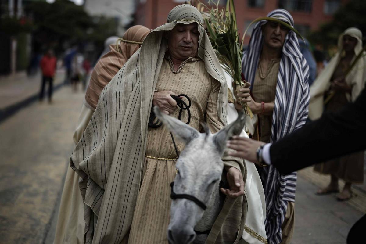 Fe y tradición: las imágenes del Domingo de Ramos en el mundo