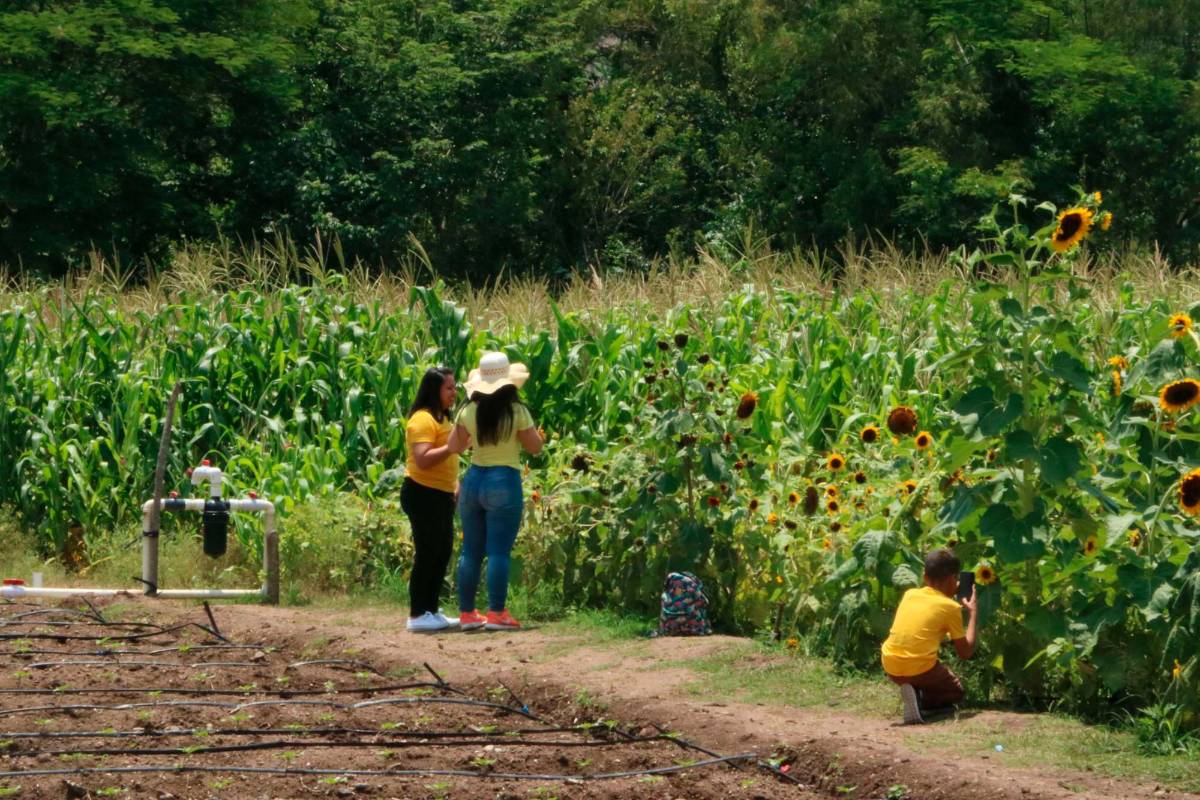 Copán ofrece recorridos, eventos culturales y rica gastronomía