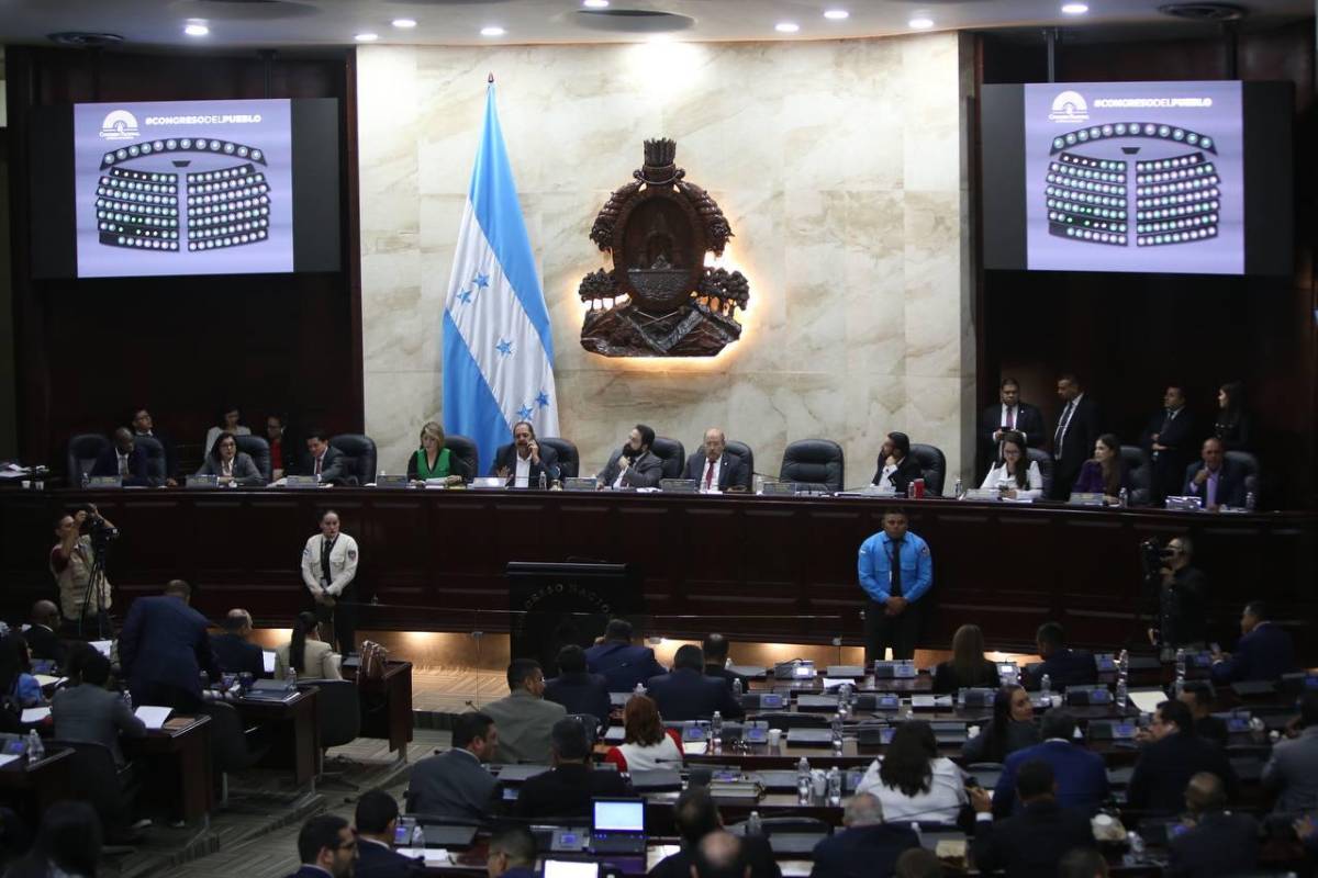 Hugo Noé Pino llamó atención a diputados por baja asistencia