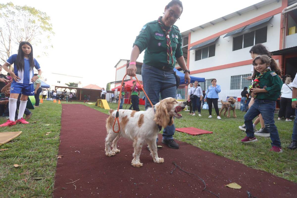 Feria del animalito en la New Horizon, por su 30 aniversario