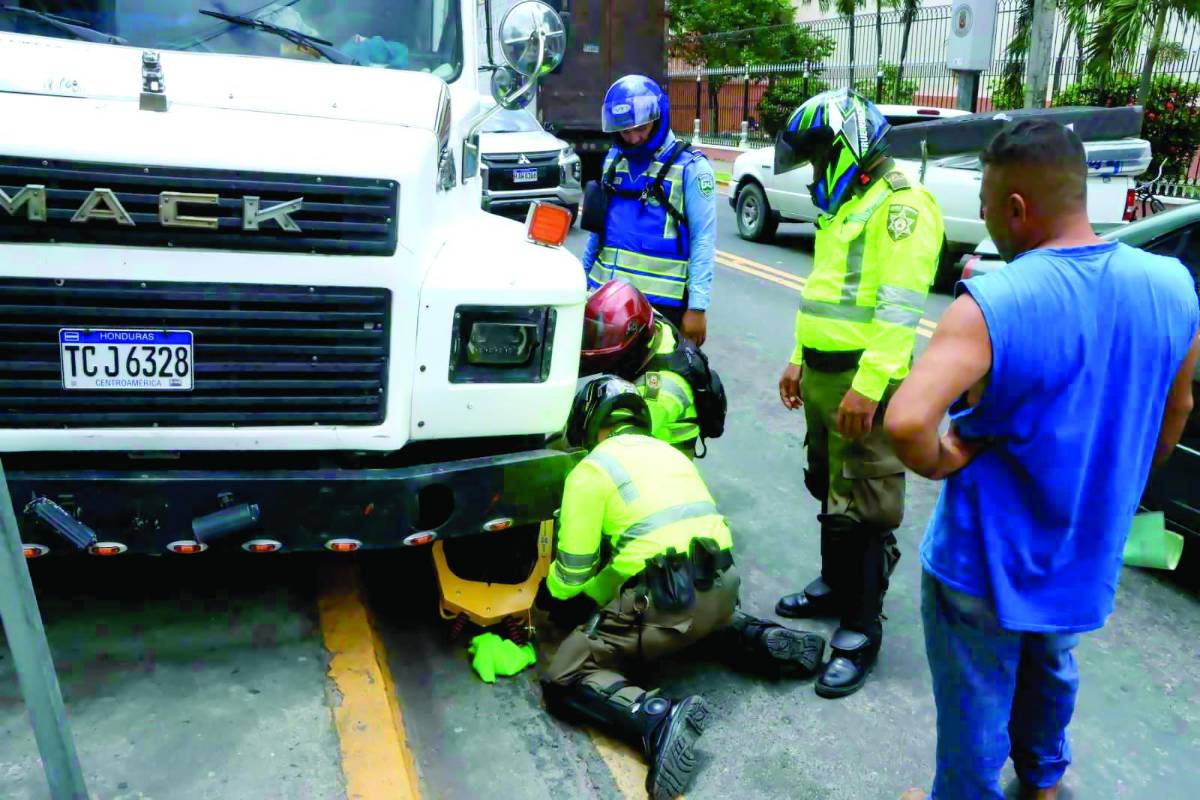 Agosto, cuando más chachas han puesto en San Pedro Sula