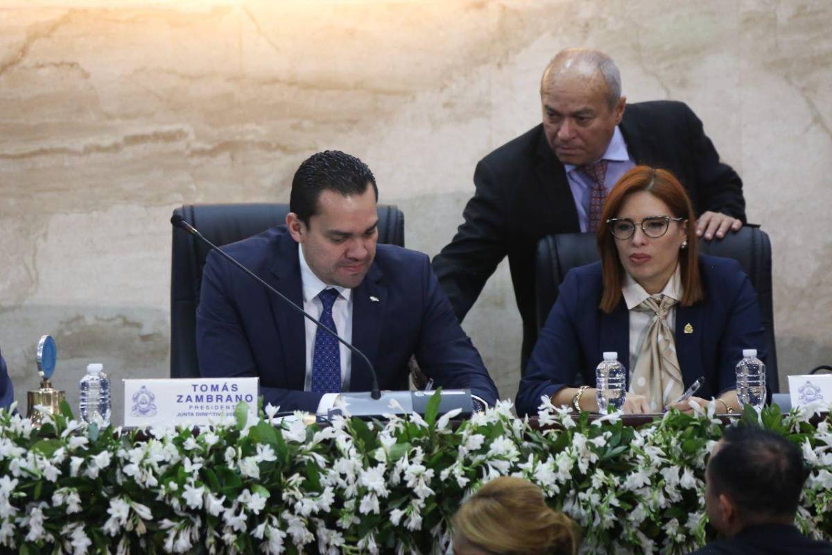 Iroshka, Godofredo y Sergio entre los diputados a los que podrían descontar salario por faltar al CN