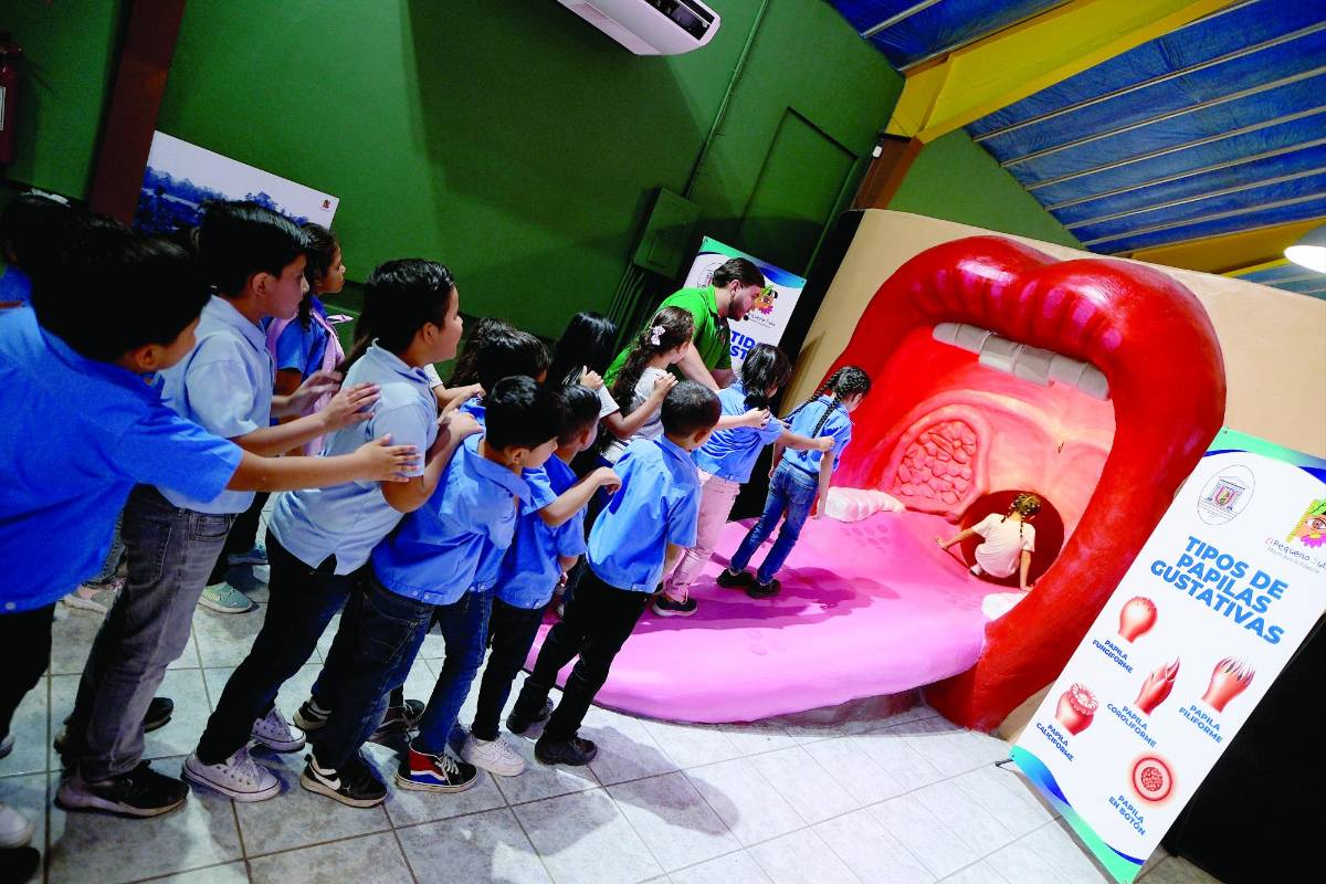 Impresionantes juegos - Libros, toboganes y juegos interactivos conforman el lugar perfecto para desarrollar habilidades motoras y hacer nuevos amigos mientras se ríen a carcajadas.