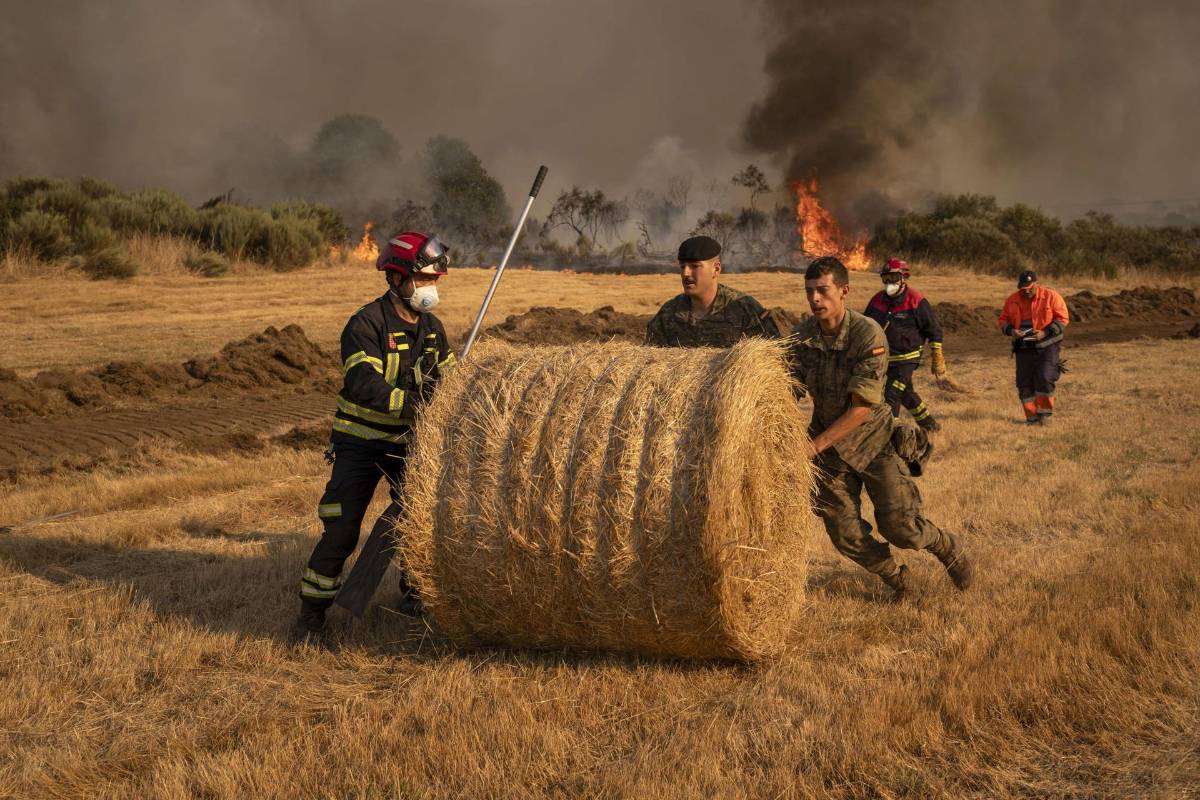 España en llamas: incendios arrasan miles de hectáreas