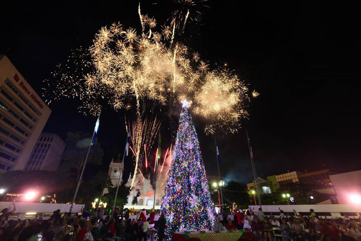 La Navidad llega a SPS con encendido del árbol en el parque