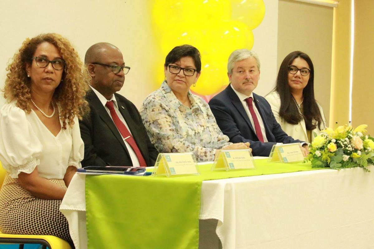 Participantes clave en el respaldo al proyecto: Secretaría de Salud, Congreso Nacional, OPS y Francia.