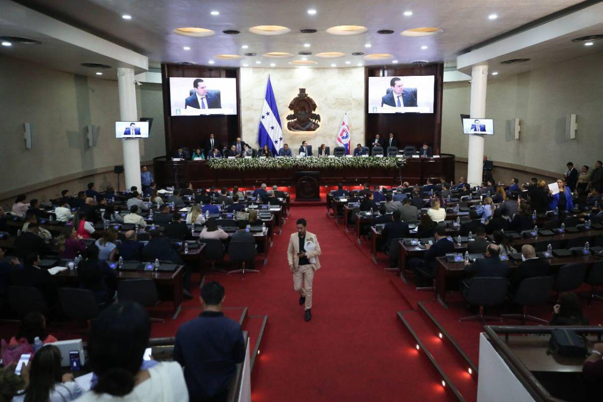 Iroshka, Godofredo y Sergio entre los diputados a los que podrían descontar salario por faltar al CN