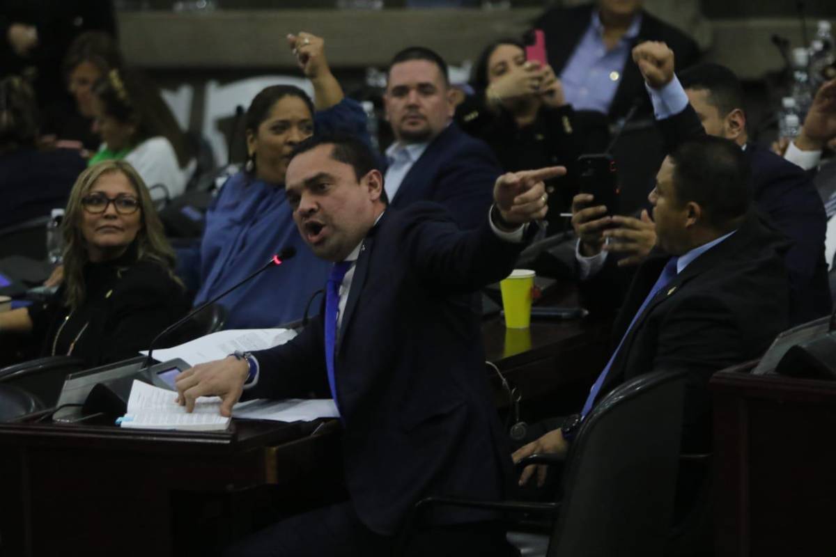 Diputados de Libre y el PN se van a golpes en sesión