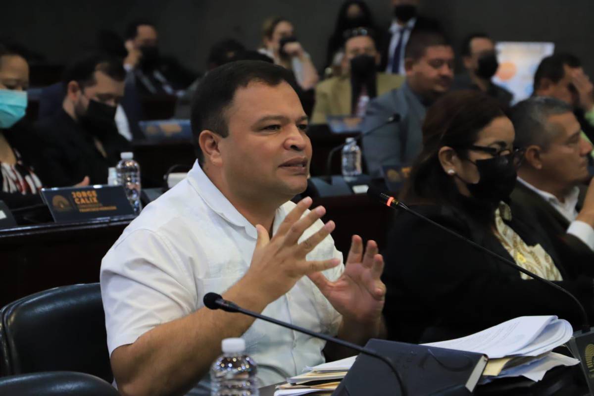 “No vamos a permitir un nuevo golpe de Estado”: Jari Dixon