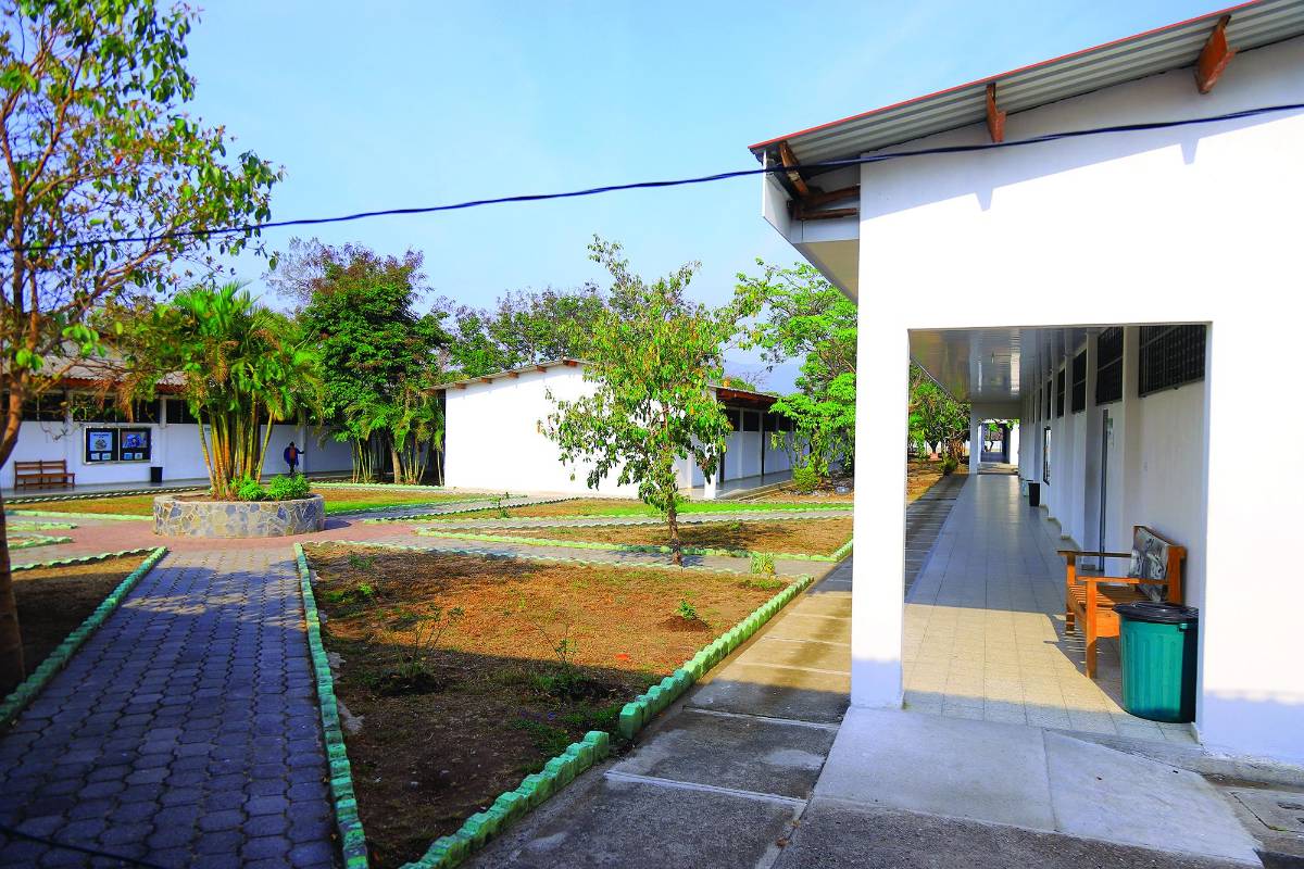 Los próximos maestros de primaria reciben clases intensivas de inglés.