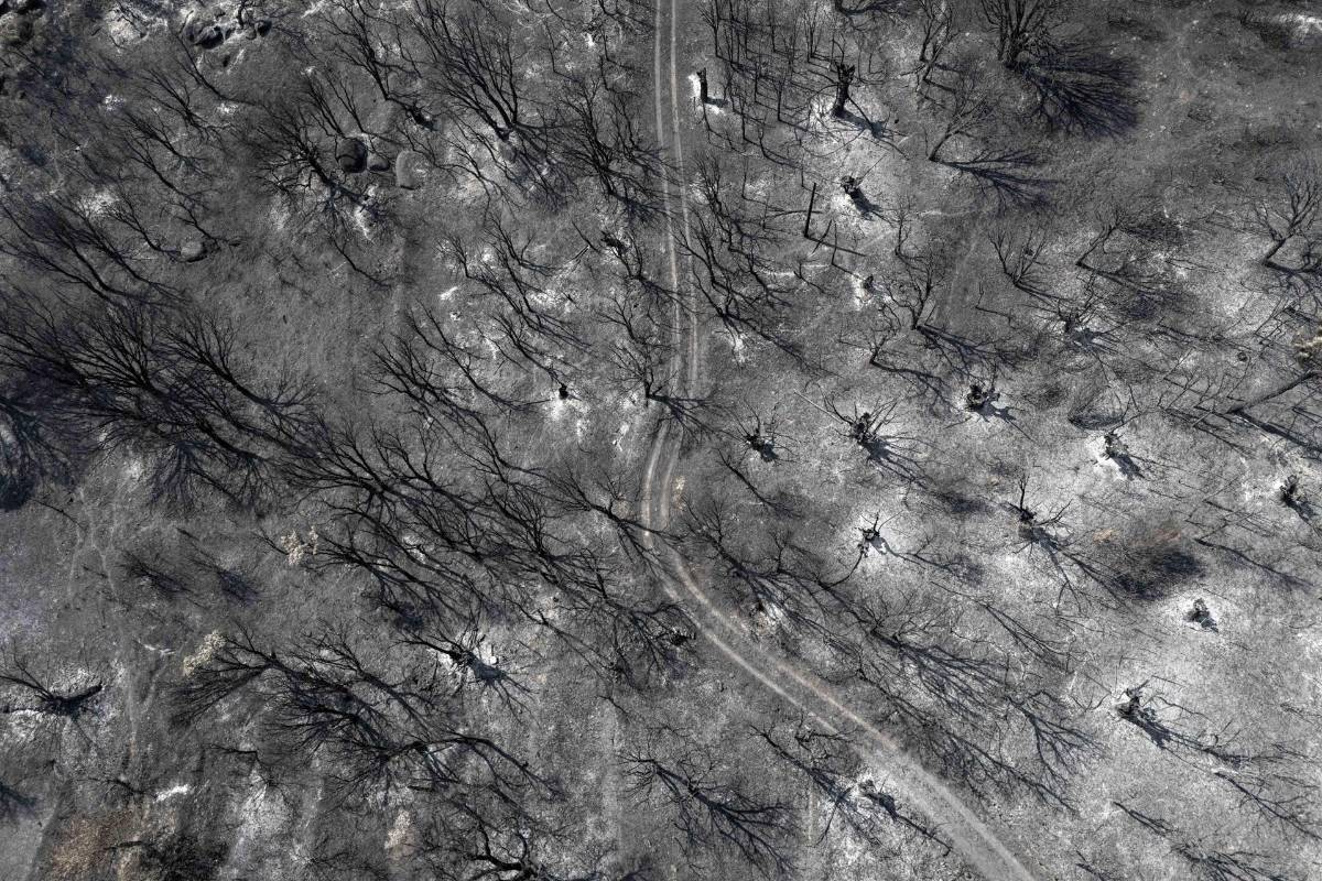 España en llamas: incendios arrasan miles de hectáreas