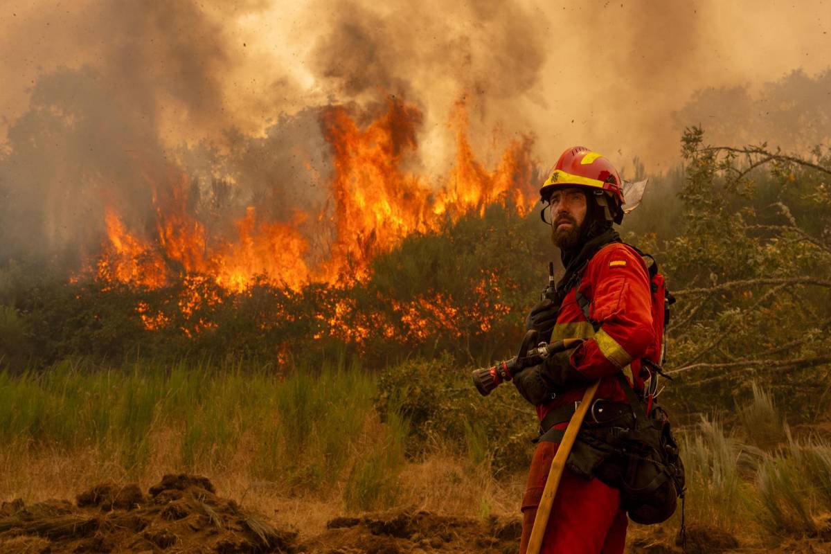 Incendios, muertes y evacuados por una ola de calor en Europa