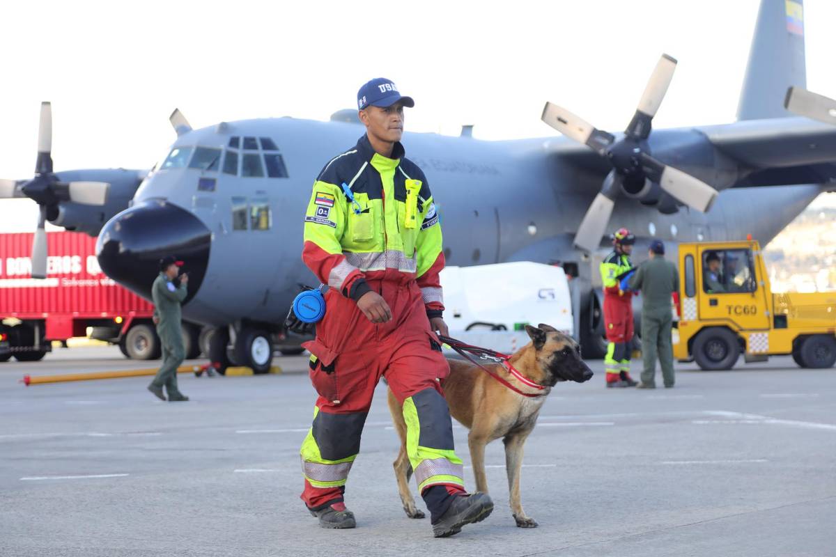 Bomberos, perros, drones y forenses: así ayuda la comunidad internacional a Venezuela