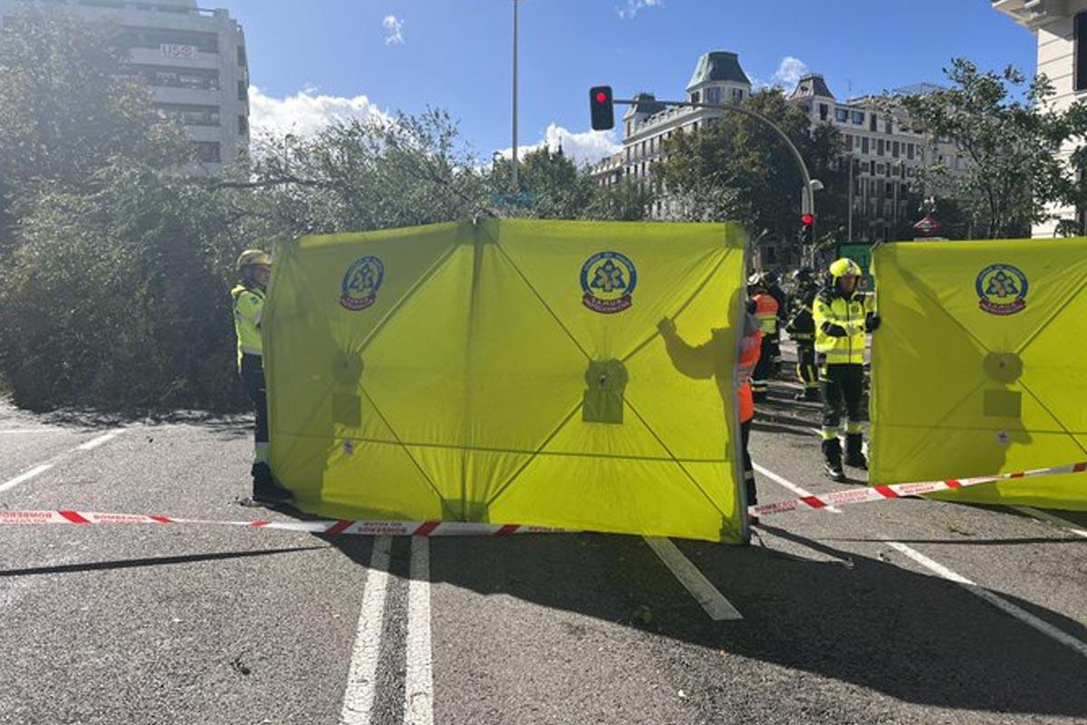 España: mujer muere tras caerle un árbol por tormenta Ciarán