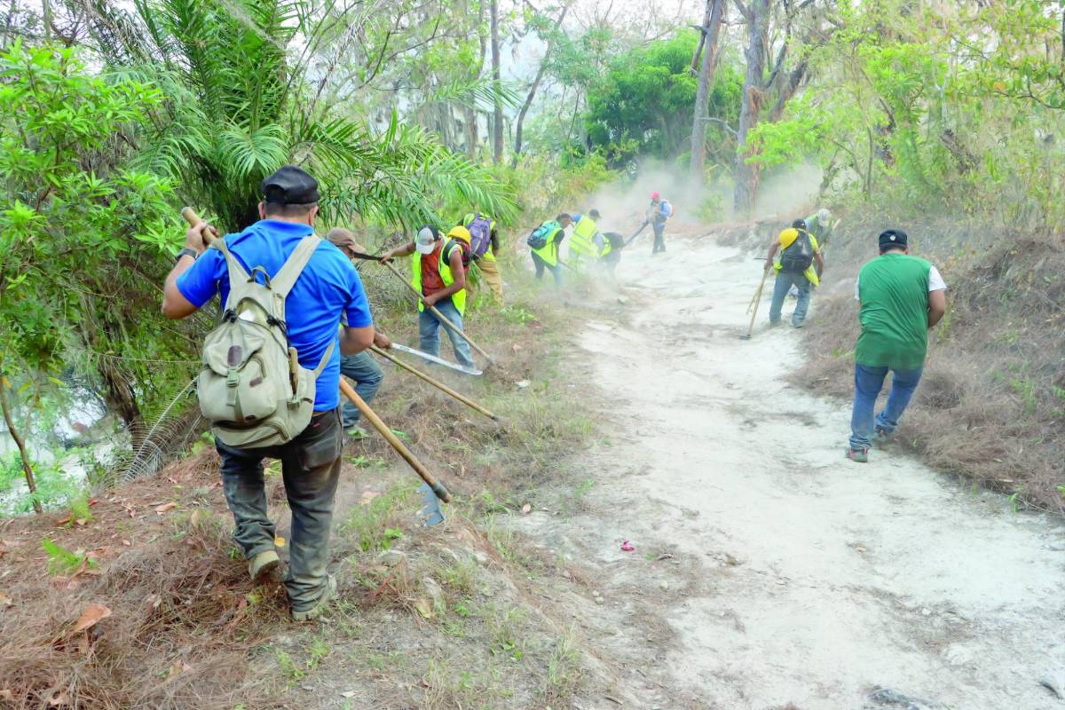 Municipalidad, fuerzas armadas, población y bomberos trabajaron para extinguirlo.
