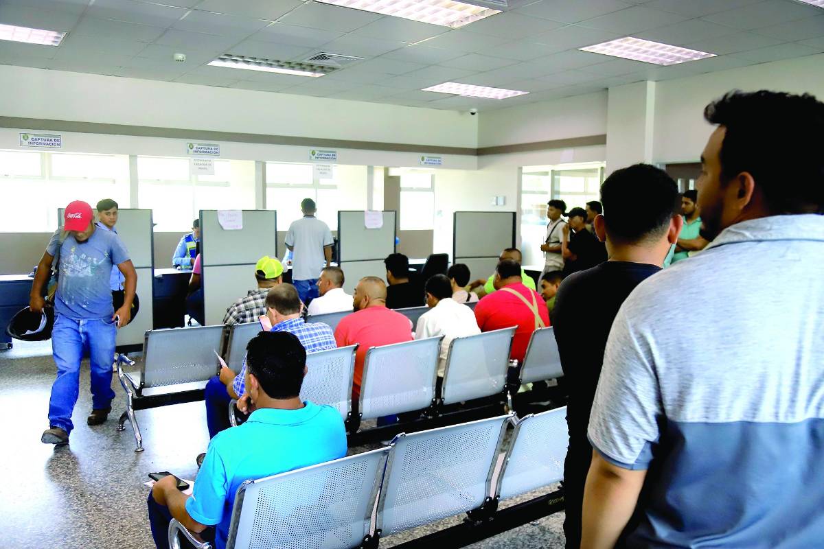 Tránsito sigue emitiendo licencias físicas en SPS