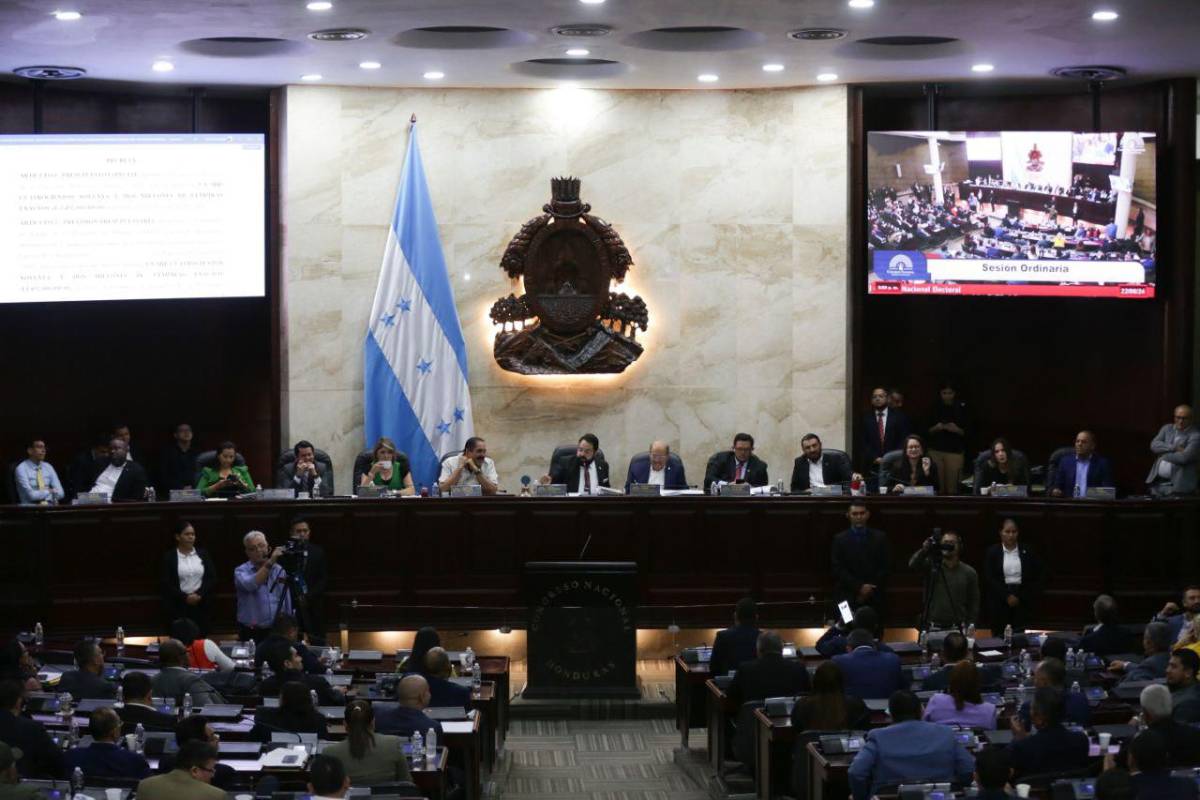 El CN suspende sesión, no se aprobó el presupuesto para las elecciones de 2025