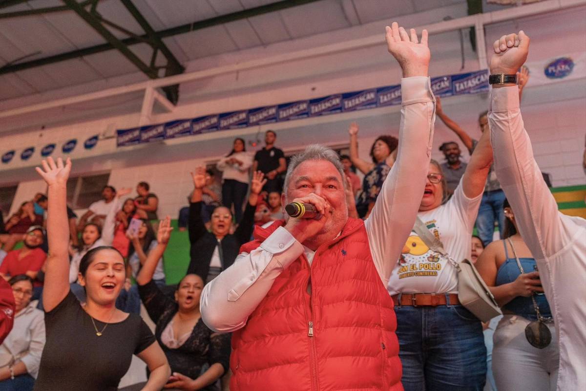 La propuesta de Roberto Contreras para reemplazar a Ana Paola Hall en el CNE