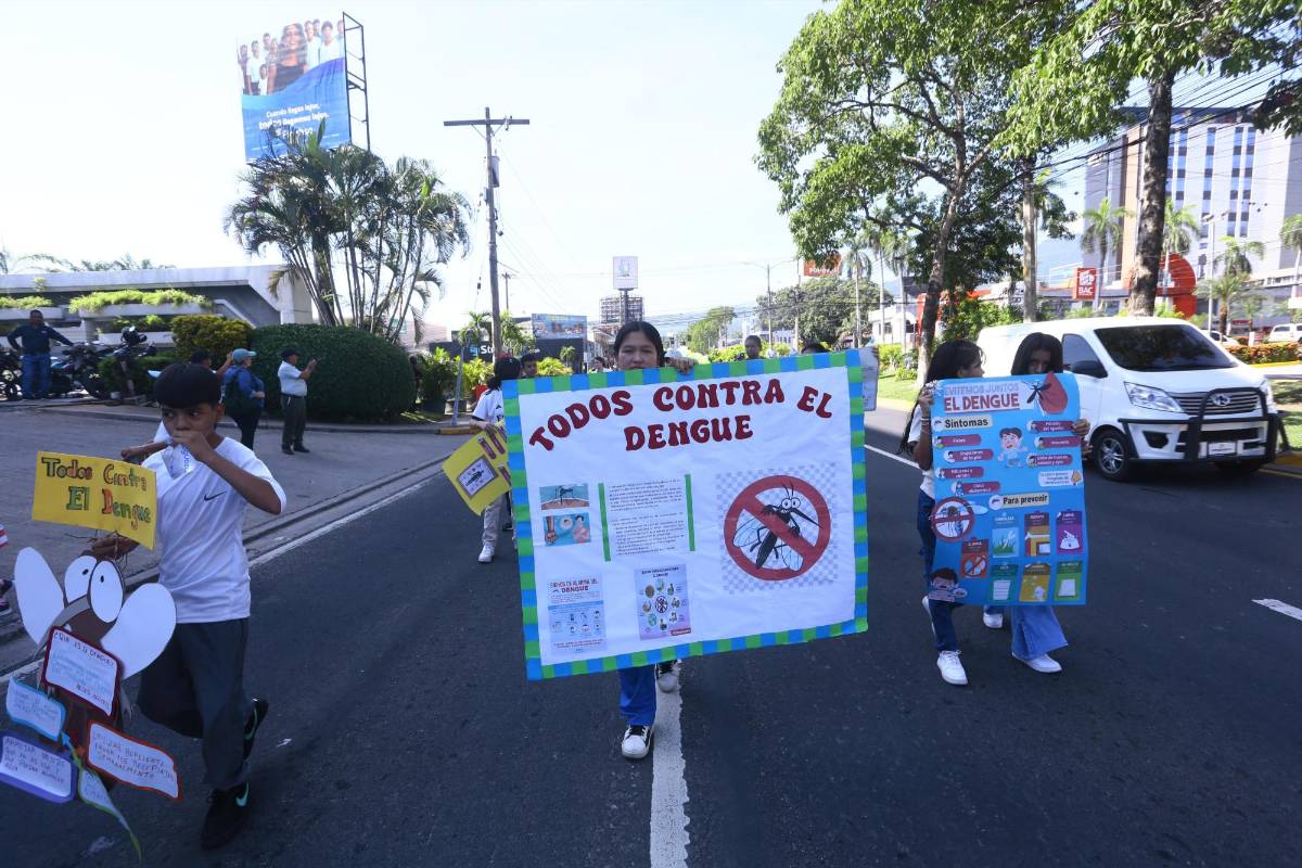 Marchan en San Pedro Sula para alertar sobre el peligro del dengue