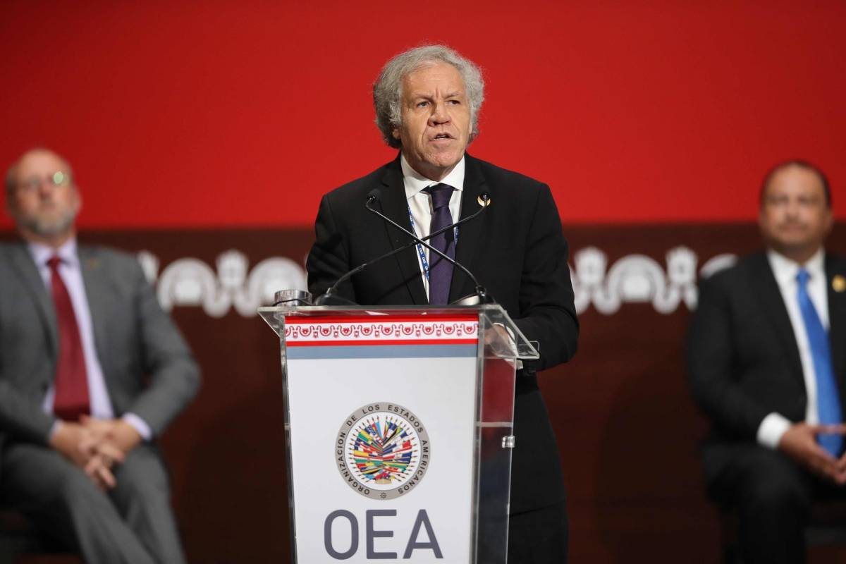 Luis Almagro, secretario general de la OEA, investigado por relación con una subordinada