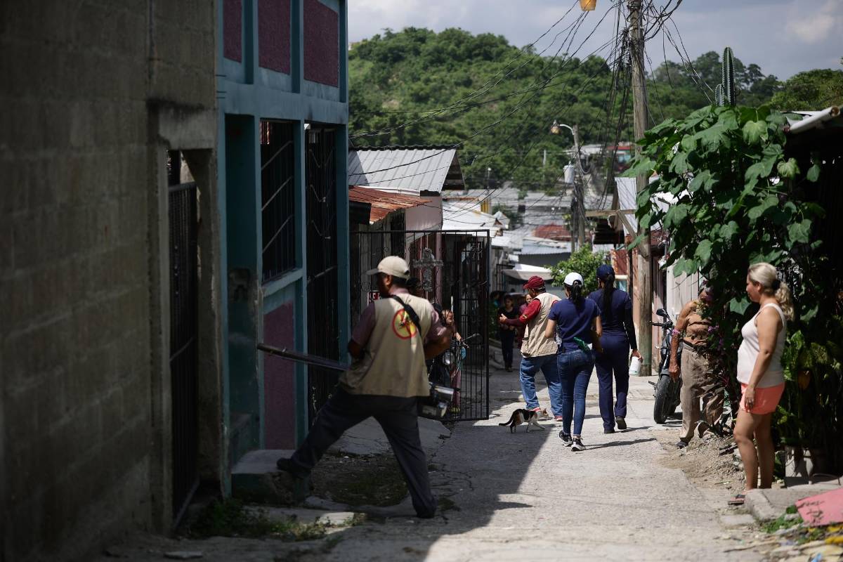 Exitosa primera jornada de lucha contra el dengue