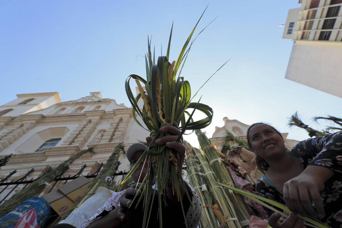 Campesinos de varias regiones llegan a ciudades importantes de Honduras como Tegucigalpa con las tradicionales palmas para la conmemoración del Domingo de Ramos que marca el inicio de la Semana Santa.