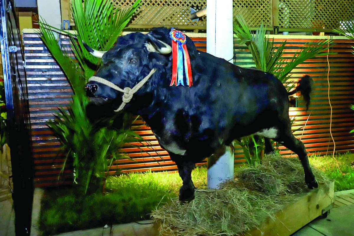 Hacienda Yuro abre sus instalaciones con magno festejo