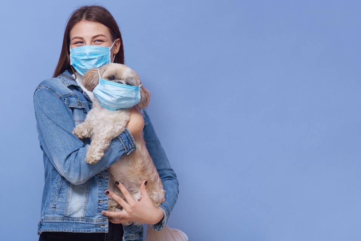 Mascotas adoptadas en pandemia llegan a la mediana edad: señales de envejecimiento