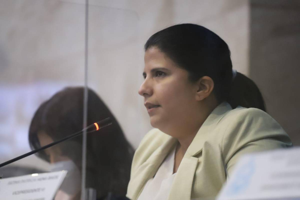 Fátima Mena presenta iniciativa para elegir altos cargos estatales en base a meritocracia