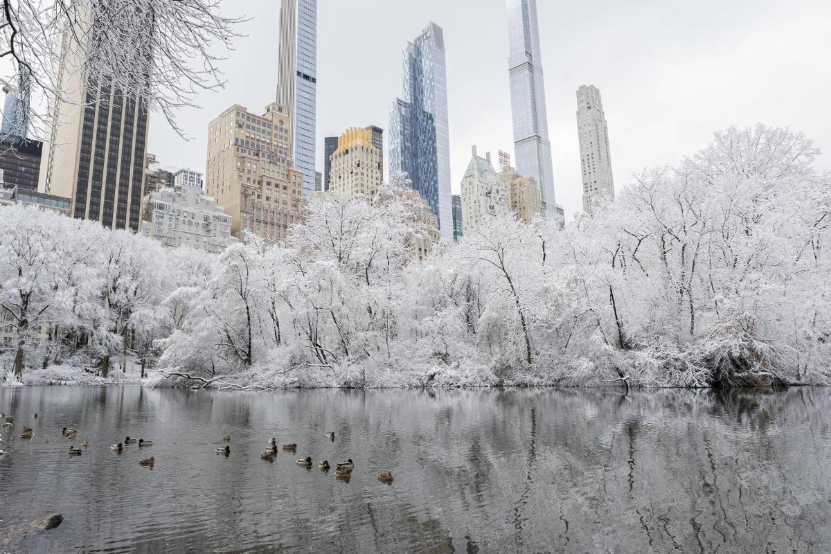 Así se ve Nueva York tras la primera nevada de la temporada