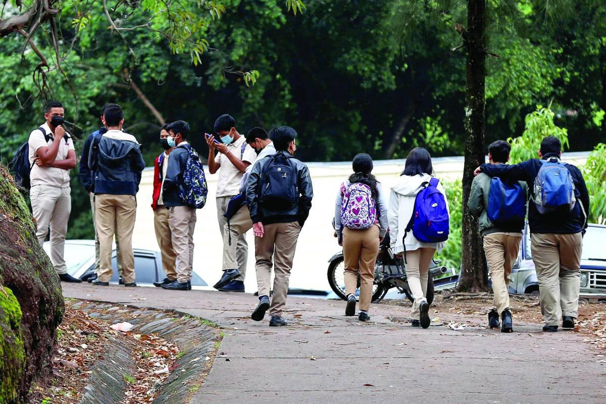 Padres de familia marcharán contra ideología de género en Honduras