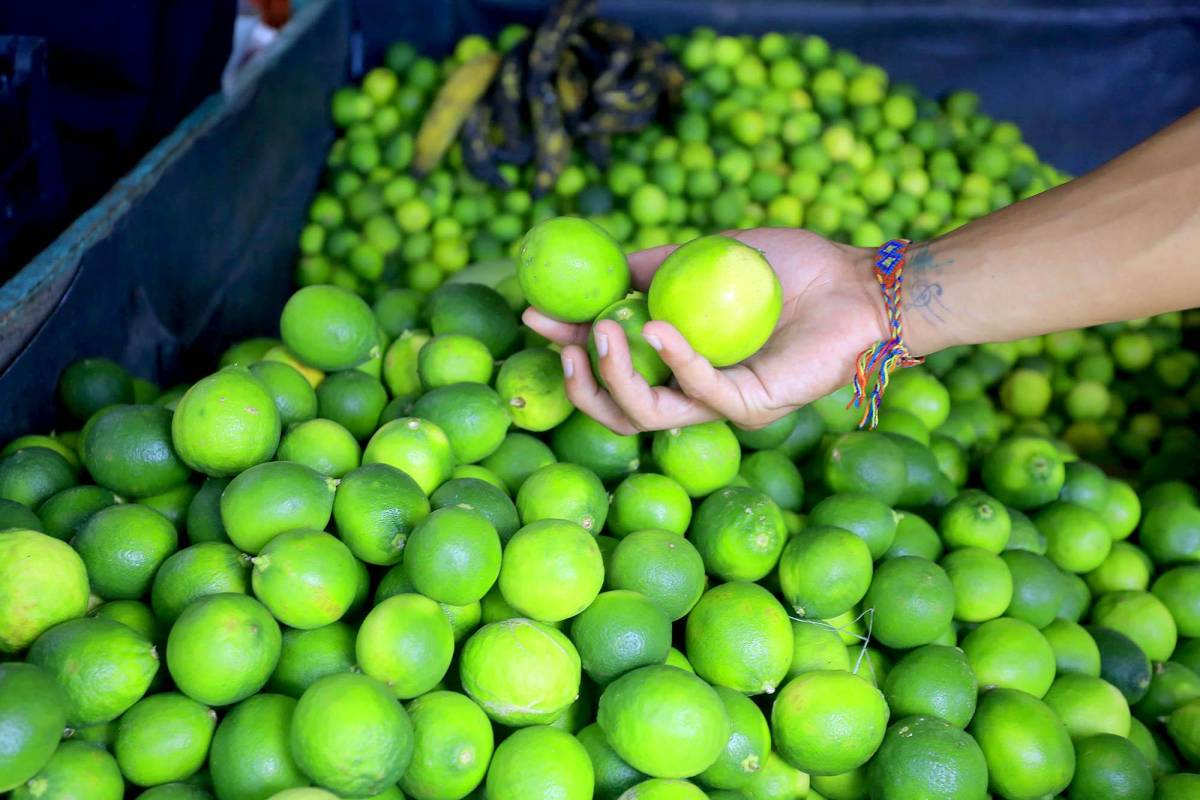 Por los cielos precio de los limones en mercados de SPS