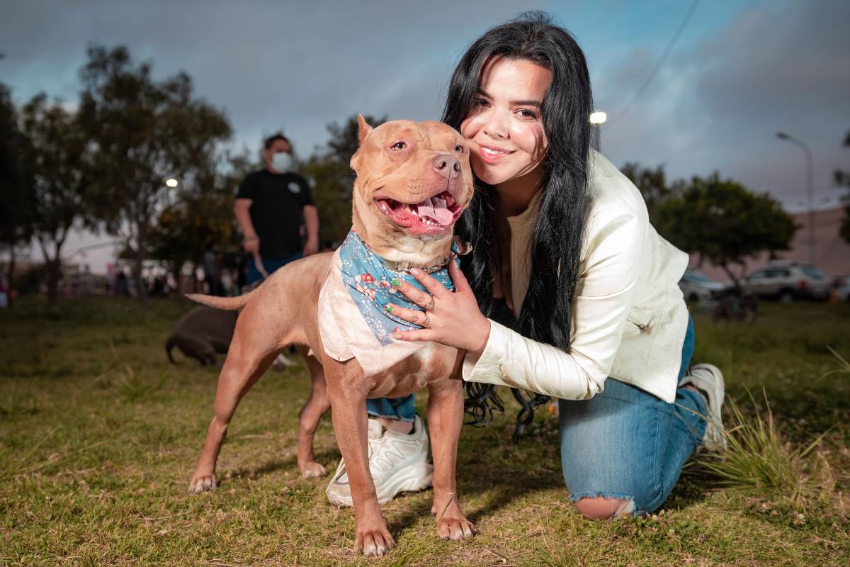 Los niños que crecen con perros son más felices y saludables