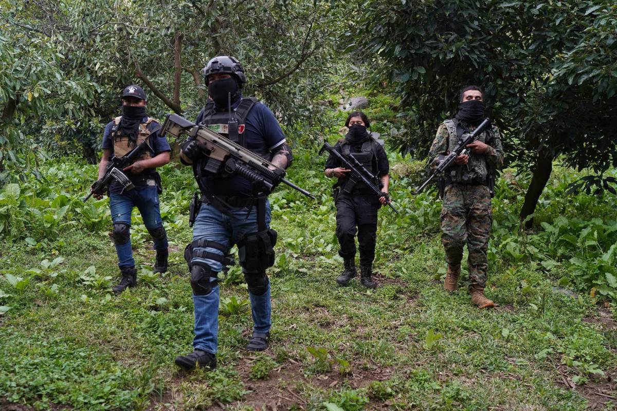 El Sapo ejecuta a reclutas que no superan entrenamiento para ser sicarios del CJNG