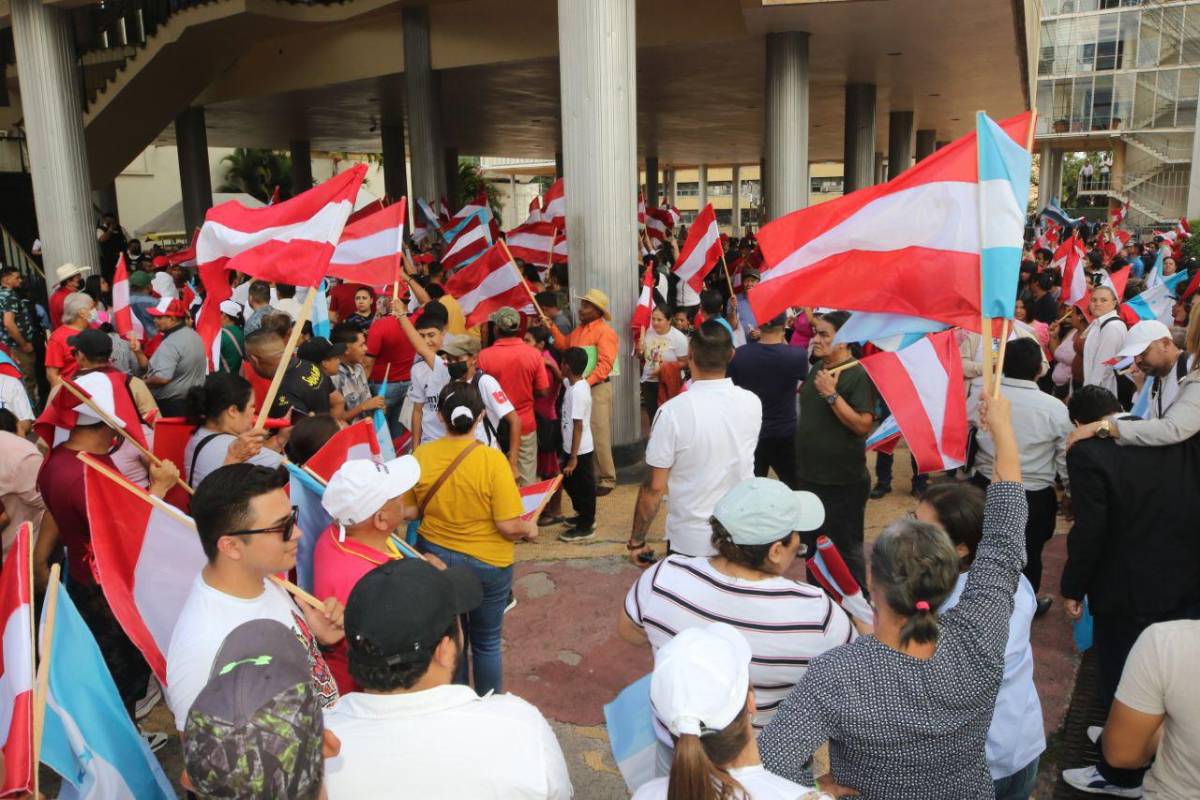Toletazos y Cálix en el centro del caos: esto originó el zafarrancho en el CN