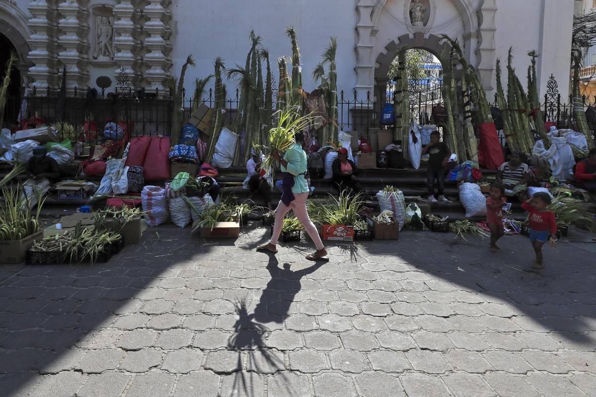 Hondureños listos con las palmas para el Domingo de Ramos