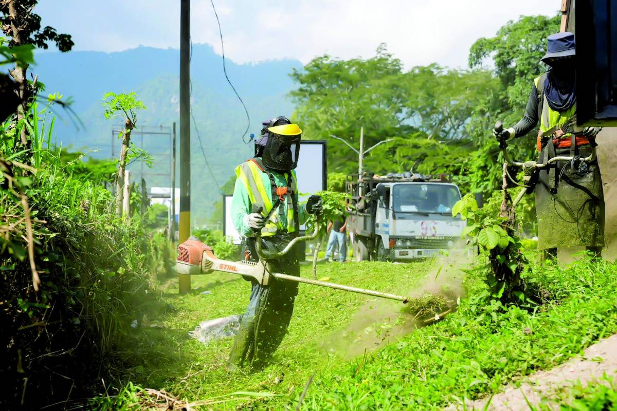 Las autoridades piden a los sampedranos denunciar la situación para evitar criaderos.