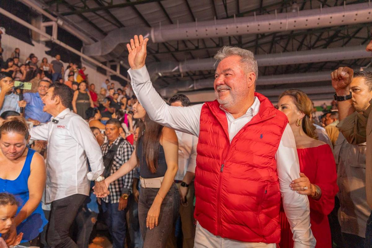 La propuesta de Roberto Contreras para reemplazar a Ana Paola Hall en el CNE