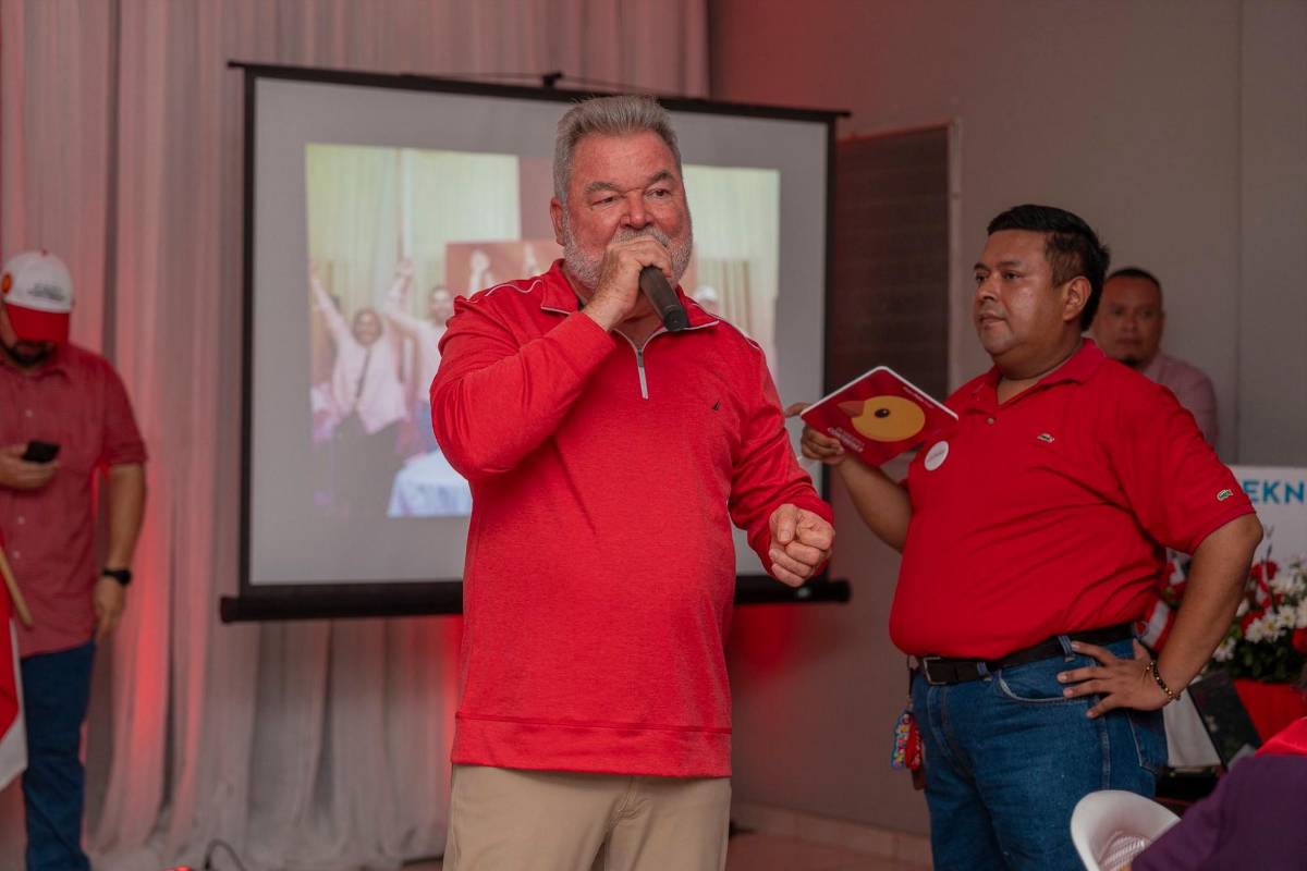 La propuesta de Roberto Contreras para reemplazar a Ana Paola Hall en el CNE