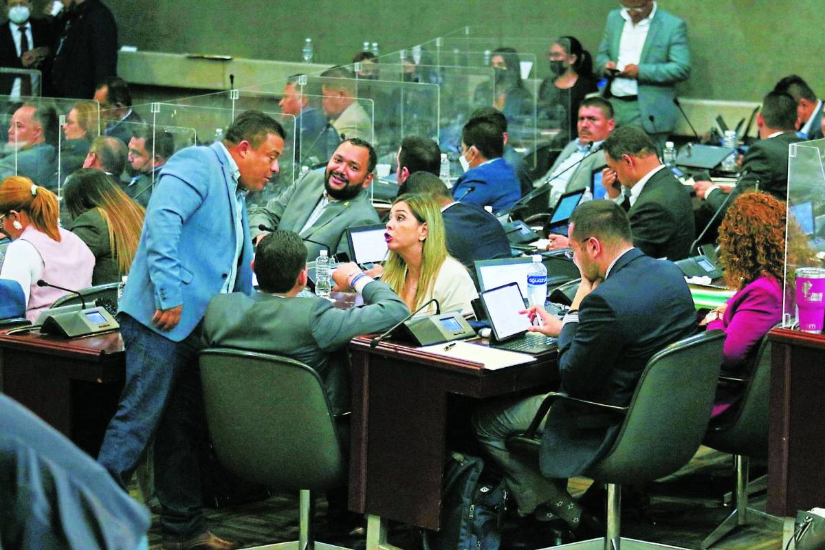 Congreso Nacional despide a empleados nacionalistas