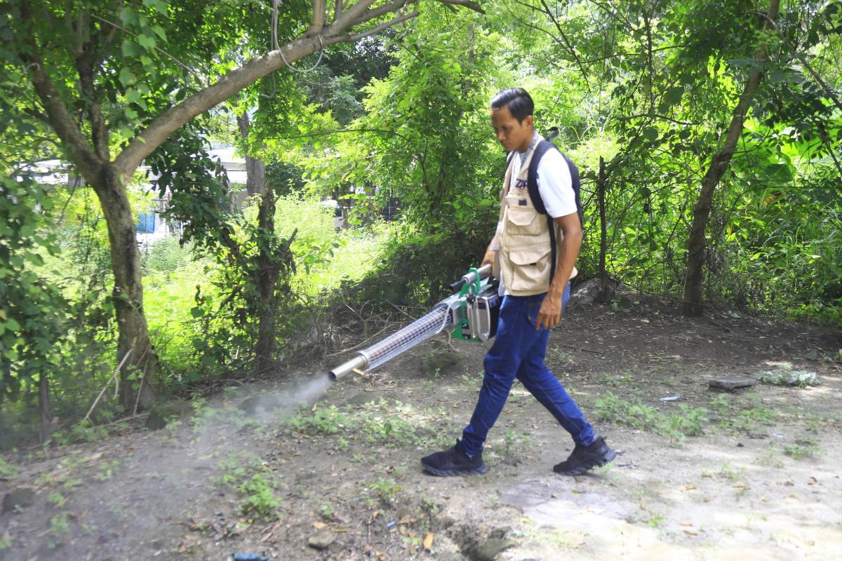 El departamento de Cortés suma 27,677 casos y 24 decesos por dengue. De estos, nueve decesos corresponden a San Pedro Sula, cuatro a Villanueva y tres a Puerto Cortés.